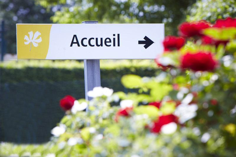 ホテル プルミエール クラッセ アヴァロン Sauvigny-le-Bois エクステリア 写真